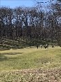 Golf Course