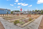 Community Garden