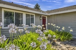 4430 Summerfield Drive - 35