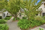 31-125 Golden Gate Circle - 31