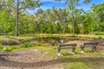 Community Pond