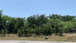 Lots 7 and 8 Demonbruen Ct,  Chico, TX 76431