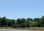 Another lot view