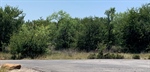 Lot View