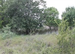 Lot View