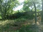 Landscaping Feature