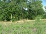 Lot View