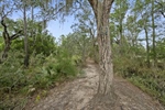 Photo 49