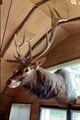 lot 15 selling June 22nd @ 3pm