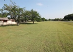 Expansive Front Yard