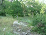 Lot View