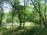 Level Building Area