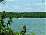 Enjoy Boating