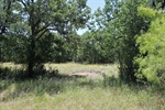Lot 367 Three Forks Crossing,  Chico, TX 76431