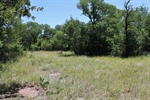 Open Areas