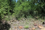 Lot View