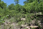 Landscaping Rocks