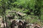 Landscaping Rocks