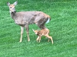 Friends enjoying the Back Yard 