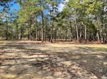 251 Osage Dr,  Defuniak Springs, FL 32433