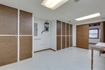 Basement Storage 