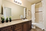 Full Guest Bath - Main Level