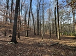 3769 Rogers Bridge Road,  Duluth, GA 30097