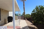 Rear yard view 2