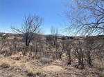 Boylan Country,  Santa Fe, NM 87507