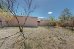 Backyard1