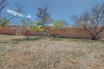 Backyard2