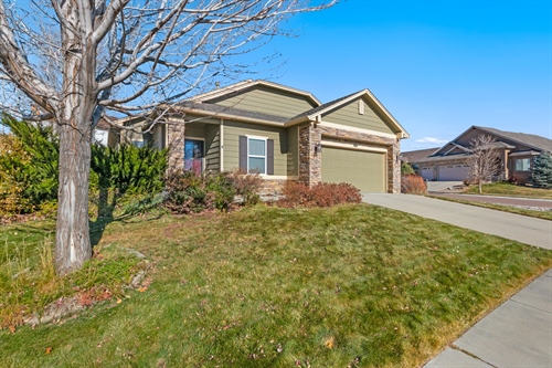 984 Fire Rock,  Colorado Springs, CO 80921