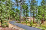 0001 15931 Waving Branch Way - Print Quality - 003 - 03 Exterior Front