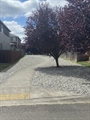 Trail