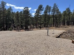 1 Blue Jay & 84 Clubhouse<br/>Pendaries RV Park,  Rociada, NM 87742