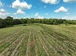 3250 Ducktown Rd Drone EVANS-7