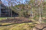 Large Back Yard