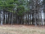 Echo Ln,  Cumberland, VA 23040