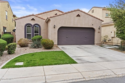 127 E Carob Dr,  Chandler, AZ 85286