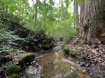 Sims Rd,  Cumberland, VA 23040