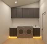 ***Renderings of project***