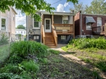 Landscaped Yard Featuring Variety Of Plantings