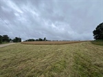 IMG_8095