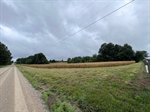 IMG_8091