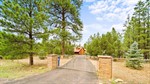 3048 Ponderosa Rd,  Overgaard, AZ 85933