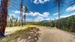 1-Camino-Anita-03272026_132241