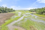 Marsh and tidal creek views!