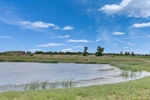 Pond Good -2739