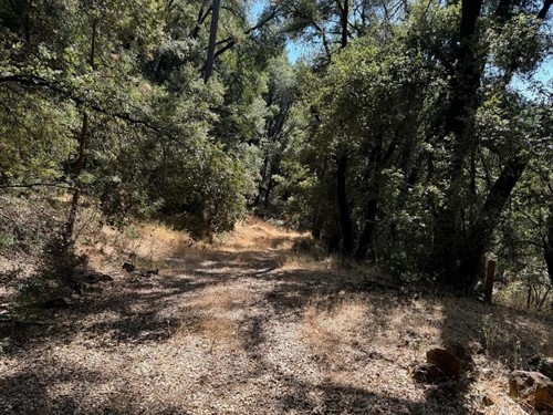 15539 Norvin Way,  Grass Valley, CA 95949