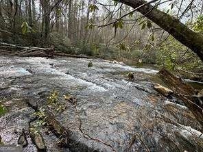 Horseshoe Bend Rd,  Dahlonega, GA 30533